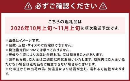 北海道産 じゃがいも 男爵 M～2Lサイズ混載 約10kg かぼちゃ ブラックのジョー 約5kg（2～5玉） セット 各1箱 合計約15kg 2箱 山田農場 ジャガイモ 芋 いも イモ 栗かぼちゃ 南瓜 カボチャ 国産 【2026年10月上旬-11月上旬迄発送予定】