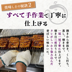 【2026年9月～順次発送】 うなぎ蒲焼 1人前 1尾 冷蔵 三島名物 老舗 鰻問屋 うなぎ 蒲焼き 鰻 ウナギ 真空パック 浜名湖 土用丑の日 贈答用 惣菜 うな重 うな丼 伝統 贈り物 鰻料理 ウナギの蒲焼 和食 浜名湖うなぎ 山本実生商店 三島市 静岡県