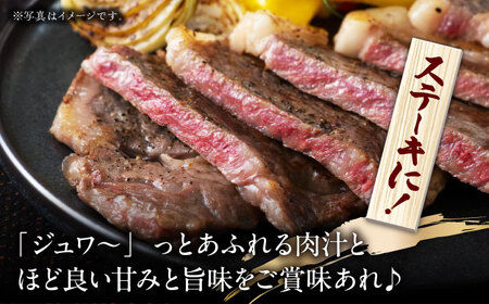 くまもとあか牛 サーロイン ステーキ用 約800g【熊本県畜産農業協同組合城北支所】[ZAA015]