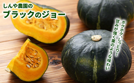 根菜セット しんや農園 じゃがいも・かぼちゃ・さつまいも 北海道産 根菜セット【計9kg】