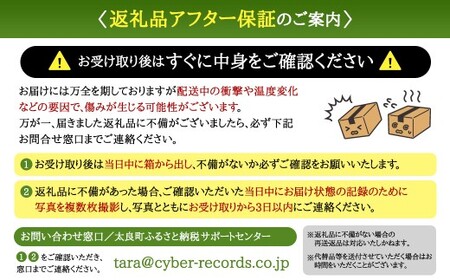 佐賀県太良町産 牟田農園の春の新玉ねぎ たっぷり大玉 5kg （2L） 【2027年4月上旬～6月上旬発送予定】 たまねぎ タマネギ 野菜 新玉ねぎ 玉ねぎ 農家直送 佐賀県 太良町