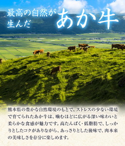 GI認証 くまもとあか牛 すき焼き用 切り落し 合計600g 300g×2パック あか牛 赤牛 牛肉 すき焼き 肉じゃが カレー 冷凍 国産 九州産 熊本県産 菊池市《30日以内に出荷(土日祝除く)》