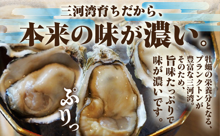 佐久島産天然真牡蠣　参州オイスター　3㎏≪配達不可エリア：北海道・沖縄・離島・東北・九州≫・E030