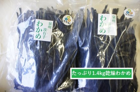 漁師がお届け 塩蔵わかめ 1kg と 乾燥わかめ 400gセット 計1.4kg 