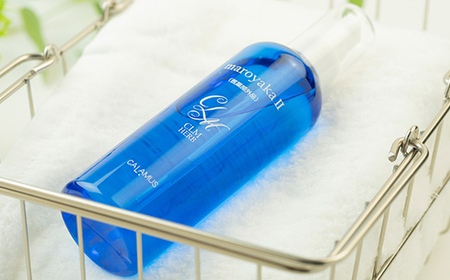 まろやか薬用スキントリートメントII 250ml ≪定期便 2本×2回 4か月毎≫ 美肌 美容液 顔 手足 膝 かかと 全身 体 髪 保湿 保湿対策 美容 無添加 濡れたまま お風呂 国産 スキンケア ギフト プレゼント 母の日 さかほぎ 坂祝町 祝い お祝い  F6M-375