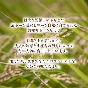 【数量限定】令和7年産コシヒカリ　5kg　磐梯山麓こしひかり　精米　