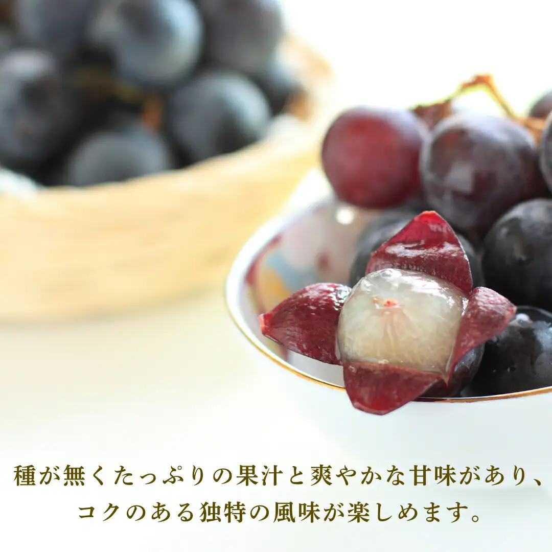 【2026年先行予約】朝採り 巨峰 約800g | 巨峰