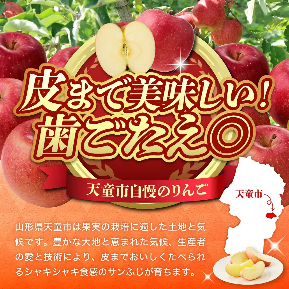 りんご サンふじ 5kg  山形 果物 フルーツ リンゴ
