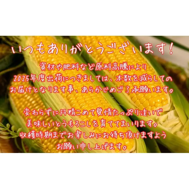 【ふるなびWEEK対象】北海道産 とうもろこし 恵味 ゴールド 2L 8本 8月中旬～9月下旬頃お届け 朝採り 恵味 めぐみトウモロコシ スイート コーン 甘い 新鮮 先行受付 夏 野菜 産地直送 塩田農園 送料無料 北海道 洞爺湖町