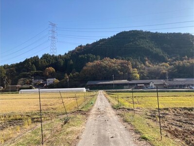 米 令和7年産 キヌヒカリ 3kg 京都丹波 白米