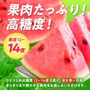 紀州プレミアムひとりじめ（小玉スイカ） 4玉7kg程度≪先行予約2027年5月下旬以降発送分≫【0252-3】