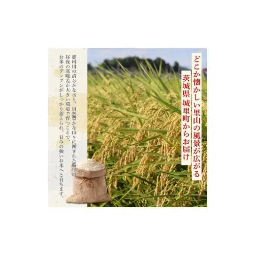 コシヒカリ 5kg（茨城県共通返礼品・城里町産） / 米 こめ コメ お米 おこめ コシヒカリ こしひかり 白米 精米 ごはん ご飯 令和7年産 5kg 茨城県 城里町 利根町