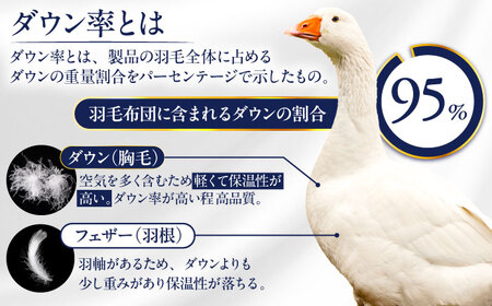 【糸島羽毛ふとん】【ダブル】 羽毛 布団 本掛け 2層式 ポーランド産 グースダウン95% 糸島市 / 株式会社三樹 / 布団 羽毛[AYM030]