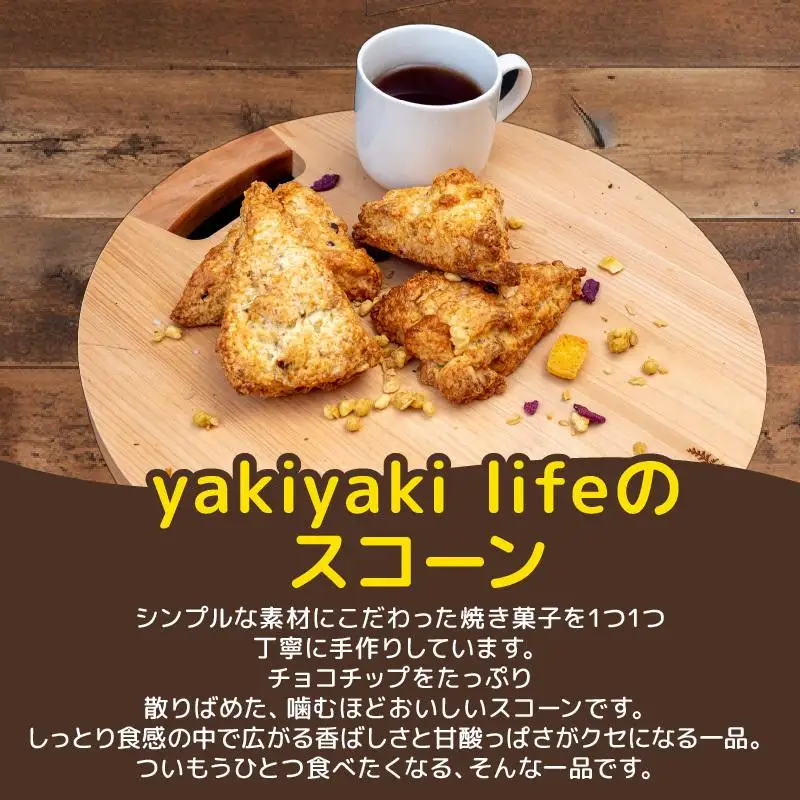 チョコチップ スコーン １１個 セット 