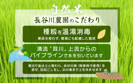 【玄米】5kg コシヒカリ 令和7年産 玄米【長谷川農園】 [m22-a014]