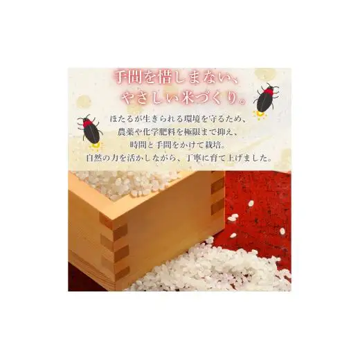 ほたる米 5kg（茨城県共通返礼品・城里町産） / 米 こめ コメ お米 おこめ ほたる米 白米 精米 ごはん ご飯 令和7年産 5kg 茨城県 城里町 利根町