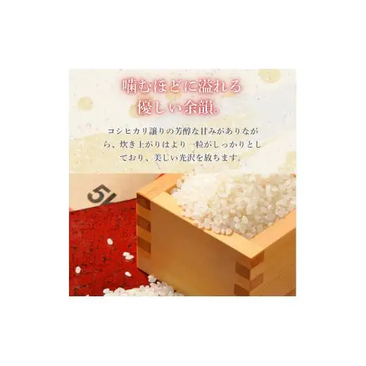 しきゆたか 5kg（茨城県共通返礼品・城里町産） / 米 こめ コメ お米 おこめ しきゆたか 白米 精米 ごはん ご飯 令和7年産 5kg 茨城県 城里町 利根町