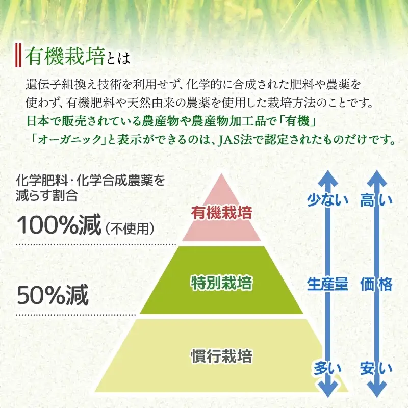 【令和7年産】有機栽培米 つや姫 【玄米】 30kg（5kg×6袋）　山形県鶴岡市産　出羽弥兵衛　| お米 米 コメ こめ ライス つやひめ 30キロ ご飯 ブランド米 国産 主食 お取り寄せ 返礼品
