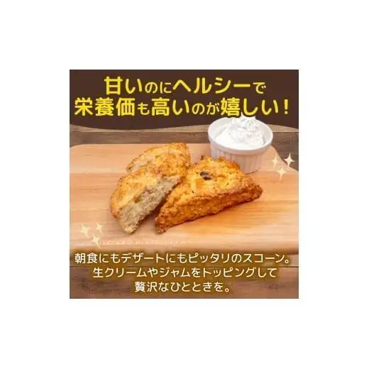 塩 スコーン 7個 