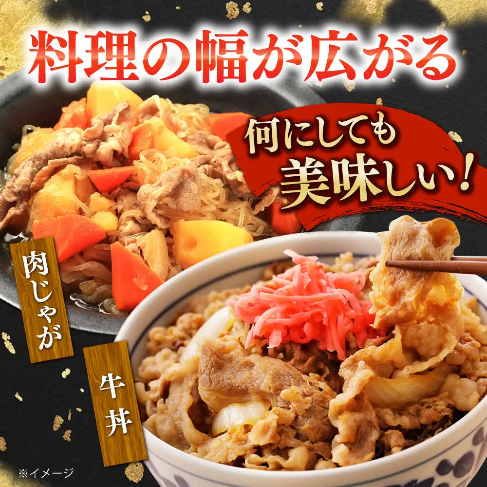 【6回定期便】国産 黒毛和牛 熟成肉 切り落とし計1kg(500g×2パック)/ 小分け 国産牛 お肉 牛肉 切落し 冷凍 焼肉 すき焼き / 南島原市 / ふるさと企画[SBA096]