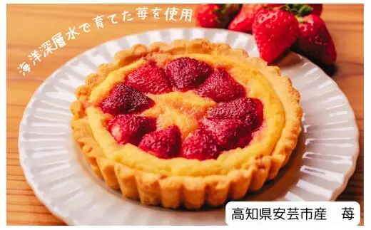 スイーツキッシュ2種セット【6ヵ月定期便】