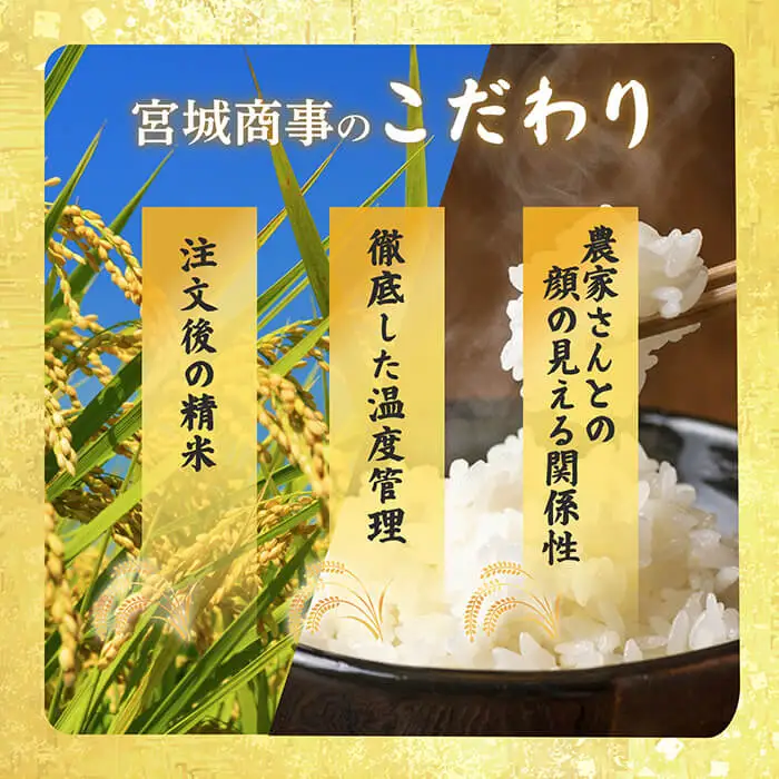 ≪令和7年産≫＜特別栽培米＞ササニシキ 玄米 30kg(30kg×1袋) 登米市産 米 お米 おこめ ごはん ご飯 玄米 おにぎり お弁当 ささにしき 30キロ 【宮城商事株式会社】tm465