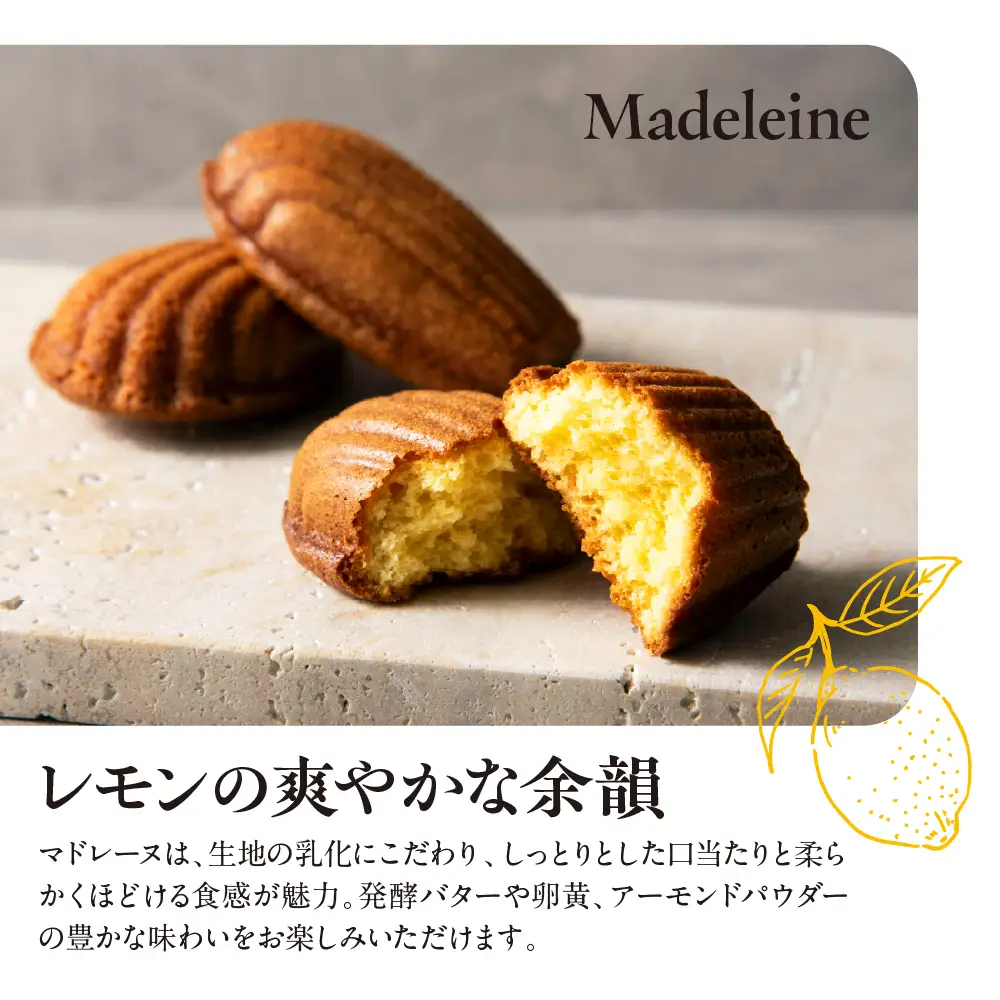 ル ココン　発酵バターのマドレーヌ・フィナンシェセット　各5個10個入