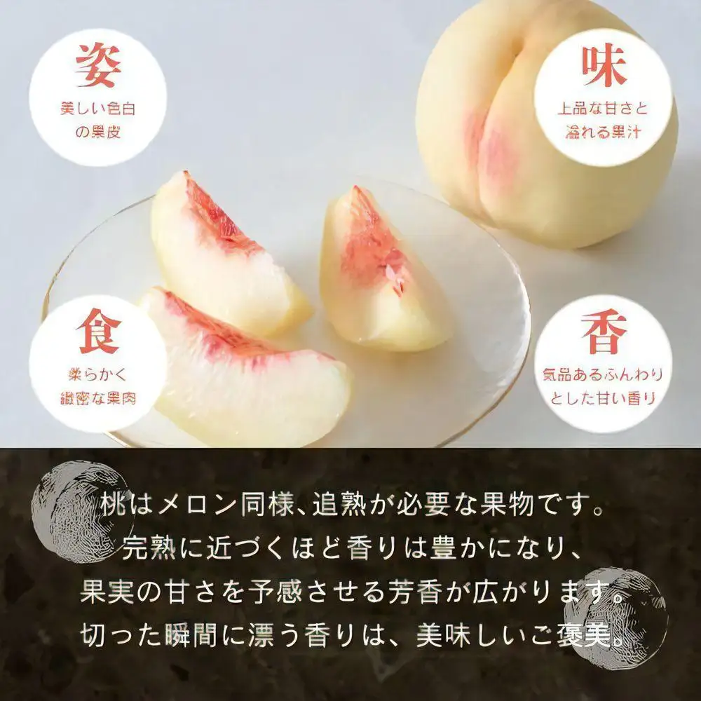 【先行予約】 白桃2.0kg以上（7～8玉）【８月中旬～９月上旬発送】【021-a027】