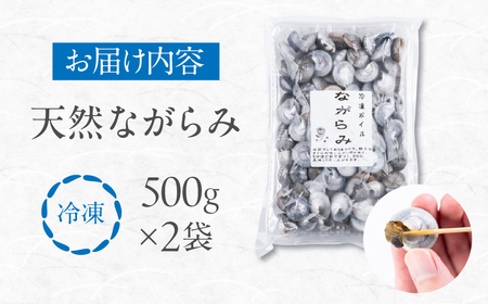 天然ながらみ 砂抜き不要 1kg (500g × 2袋) ながらみ おつまみ お酒のアテ 肴 海産物 国産 アサリ 愛知県 田原市 新鮮 砂抜き 海鮮 魚介類 魚介 貝 家庭
