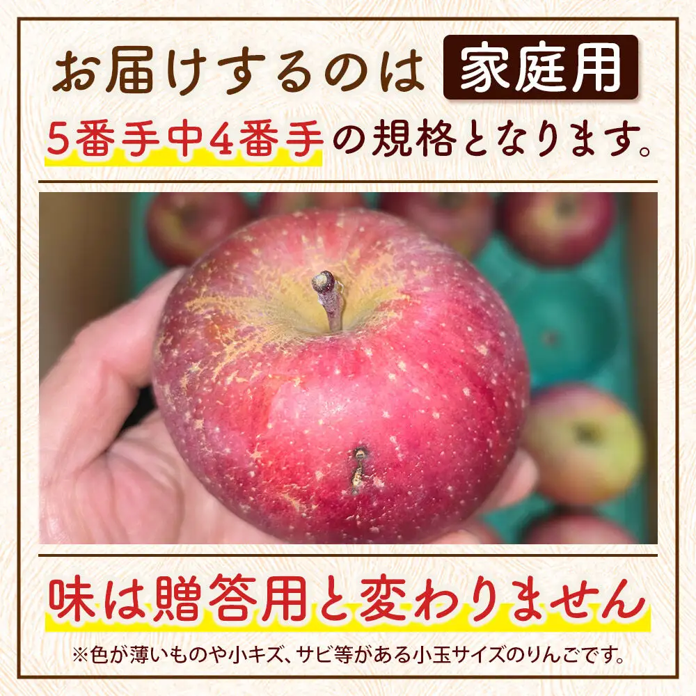 りんご サンふじ 家庭用 約5kg 小玉 3月クール便発送 りんご