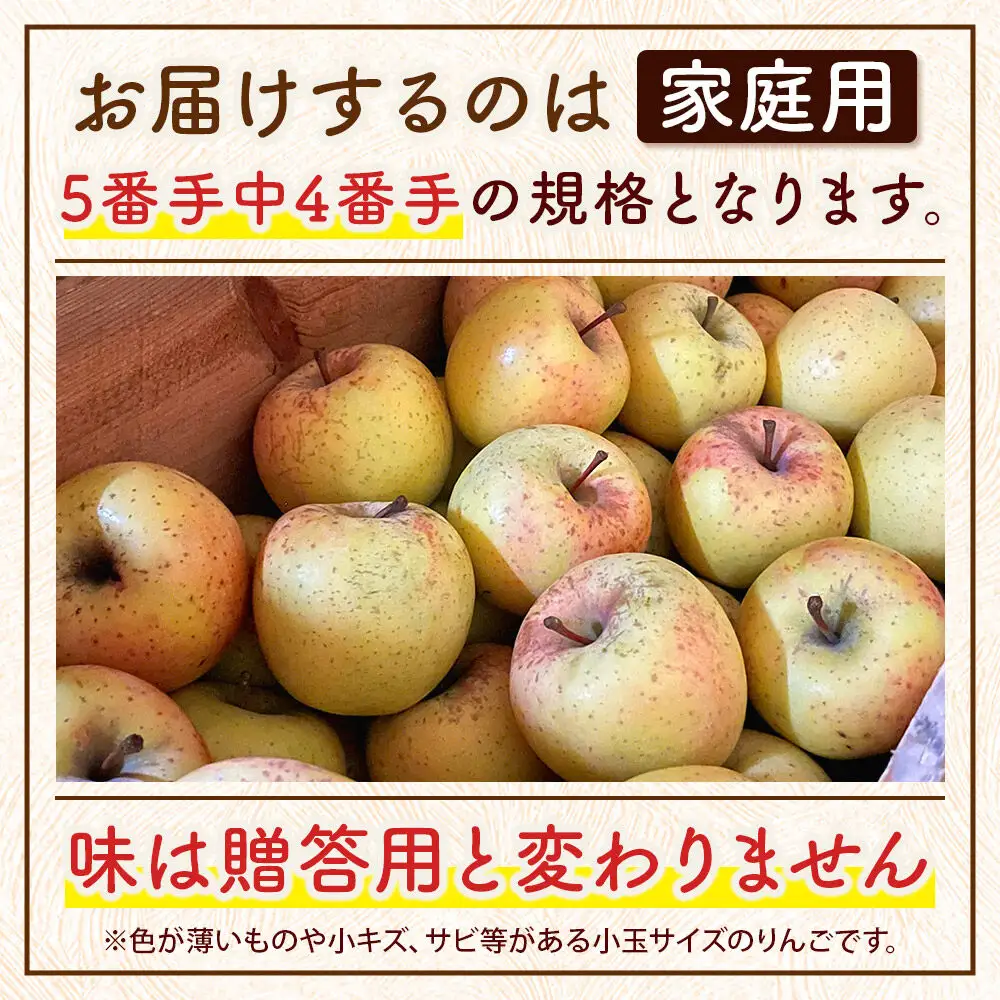 りんご サンふじ＆黄色りんご 家庭用 約5kg 小玉 3月クール便発送
