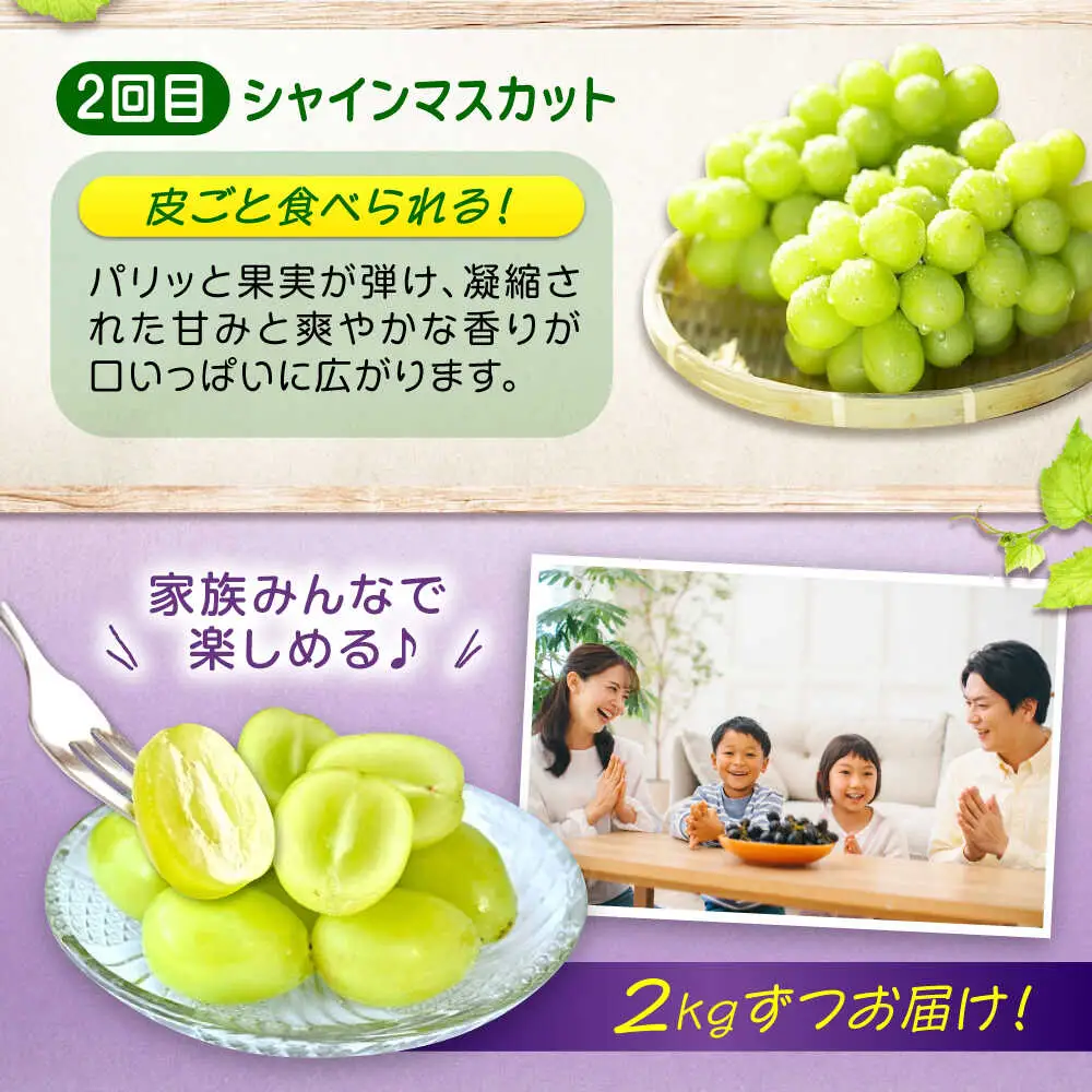 ぶどう【全2回定期便】ピオーネ マスカット 各2kg（計2種）[BAEV014] ぶどう
