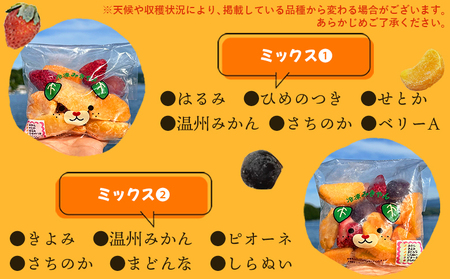 ＜アイスフルーツボックス（ミックス3袋、柑橘5袋） 6回定期便＞ 冷凍みかん 冷凍果実 温州みかん 甘平 ぽんかん せとか いちご ぶどう 果物 くだもの 渡江から一歩を踏み出す会 愛媛県 西予市【冷凍】『お申込み月の翌月より配送を開始します』ATI0040