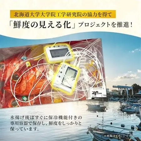いすみの釣り金目鯛(冷凍)2匹セット【配送不可地域：離島】【1689486】