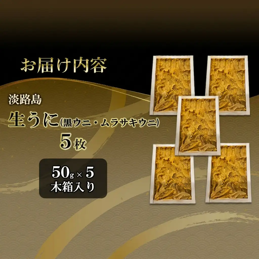 うに 由良産 黒ウニ 50g 5枚 木箱 うに