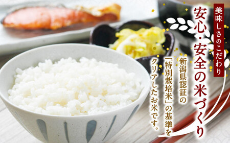【新米受付・令和8年産米】新潟県村上市岩船産　特別栽培米コシヒカリ60kg（5kg×12ヶ月コース）1013013N　定期便 毎月 新米予約 お米  白米 こしひかり 精米 村上市