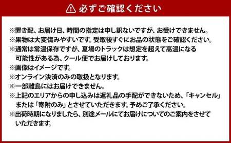 果物詰合せ 合計約1.0kg（シャインマスカット 1房・ニュー ピオーネ 1房）岡山 ぶどう シャインマスカット ニューピオーネ 詰め合わせ 皮ごと 食べられる 種なし【2026年8月下旬～10月下旬発送予定】