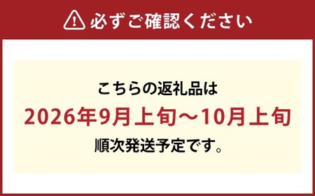 《ご家庭用》ニュー ピオーネ 2～3房（合計約1.2kg）　ブドウ 葡萄 岡山県産 国産 フルーツ 果物 岡山県 倉敷市 　【2026年9月上旬～10月上旬発送予定】