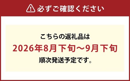《ご家庭用》 オーロラブラック 2～3房 （合計約1.2kg） ブドウ 葡萄 岡山県産 国産 フルーツ 果物 岡山県 倉敷市 　【2026年8月下旬～9月下旬発送予定】