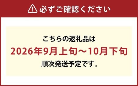 《ご家庭用》 シャインマスカット 2～3房（合計約1.2kg） マスカット ぶどう 葡萄 岡山県産 種無し 皮ごと食べる 岡山県 倉敷市 【2026年9月上旬～10月下旬 発送予定】