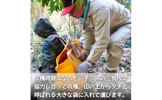 【ふるさと納税】 濃厚! 訳あり 小玉 八朔 / はっさく 甘い 家庭用 柑橘 晩柑 和歌山 / 5kg ※2027年2月下旬～3月下旬頃に順次発送予定【hnk021-s-5】