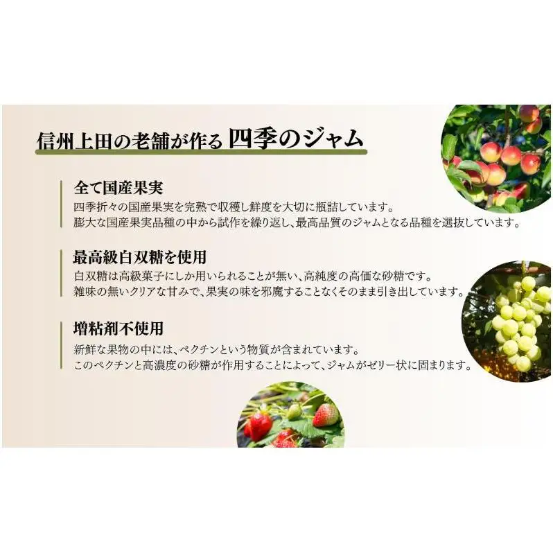 なんこう梅（M）2個セット ジャム 手作り セット 梅 朝食 軽食 上田市