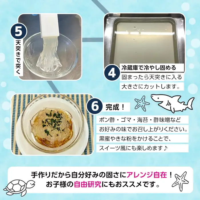 ところてんの素 (1袋・25g＋天突き付き) ところてん 天草 海藻 ヘルシー カロリーオフ デザート 常温【CW31】【山忠】