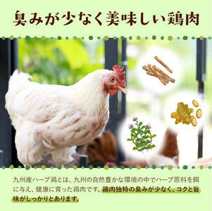 【隔月3回定期便】九州産 ハーブ鶏 ムネ肉 計13.5kg 4.5kg×3回 植田商事有限会社 《お申し込み月の翌月から出荷開始》 熊本県 菊池市 鶏肉 むね肉 お肉 からあげ 親子丼 チキンカレー 煮物 サラダチキン 冷凍 国産 送料無料