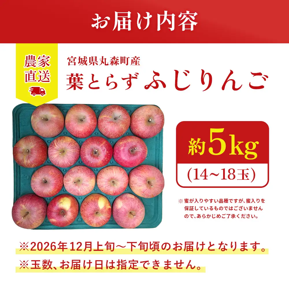 【先行予約】《2026年12月上旬～12月下旬出荷》宮城県丸森町産　葉とらずふじりんご　14～18個入り（約5kg）　1箱【48001】