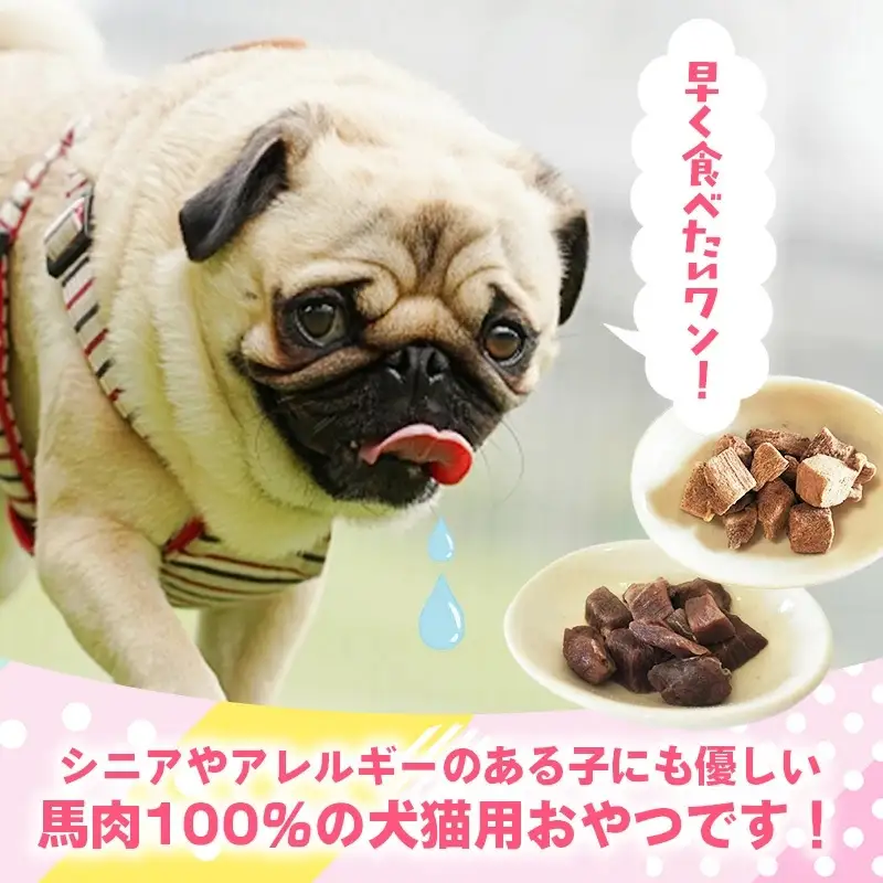 【定期便6回】 馬肉100％ 犬猫用おやつ 25g×6袋 - フリーズドライ ペット 健康 おやつ