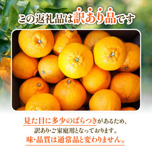 訳あり 不知火 しらぬい 5kg 不知火 みかん