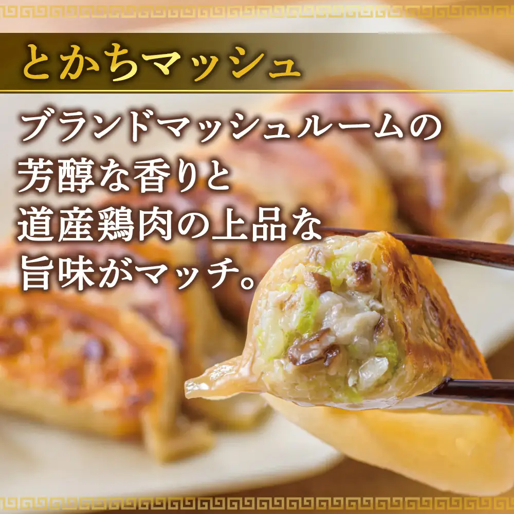北海道餃子天のびろく とかちマッシュ12粒入 3箱