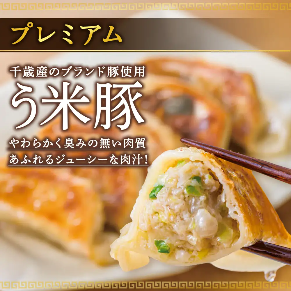 北海道餃子天のびろく プレミアム12粒入 2箱