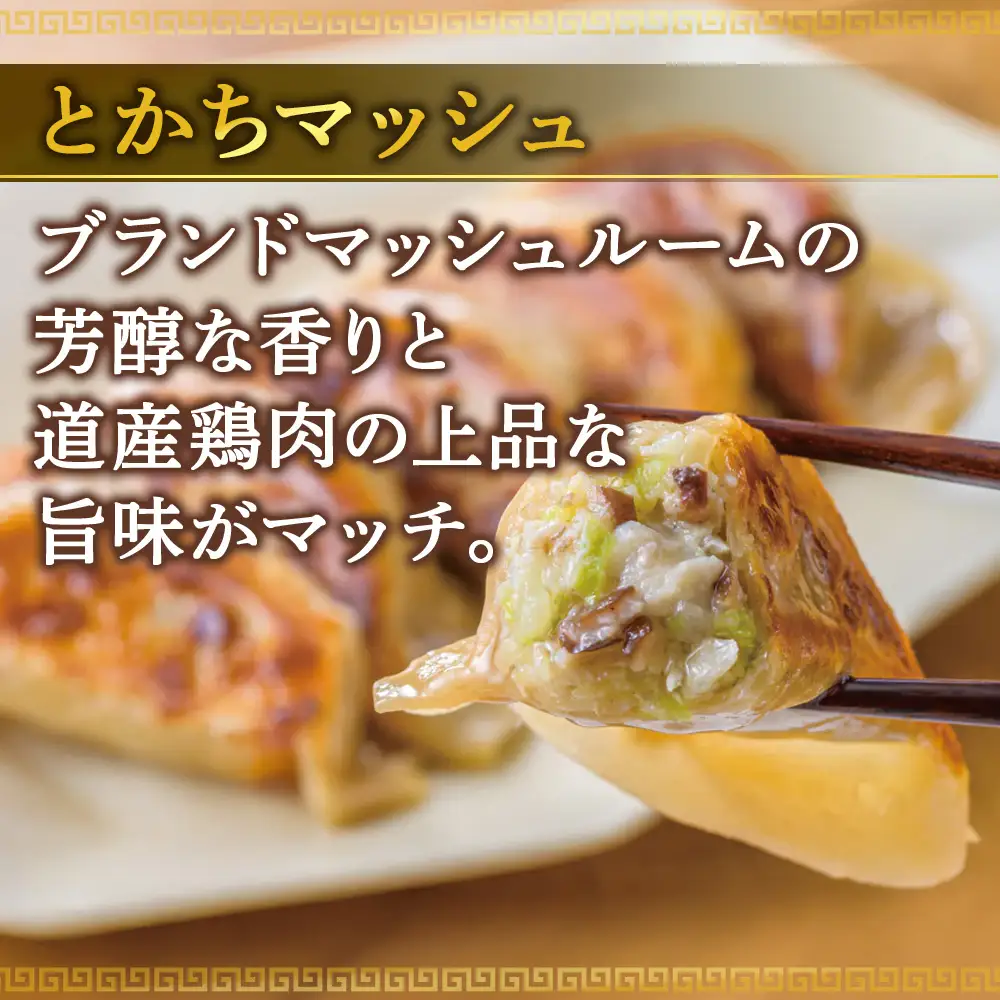 北海道餃子天のびろく お徳用 とかちマッシュ20粒入 2袋